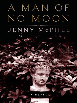 cover image of A Man of No Moon